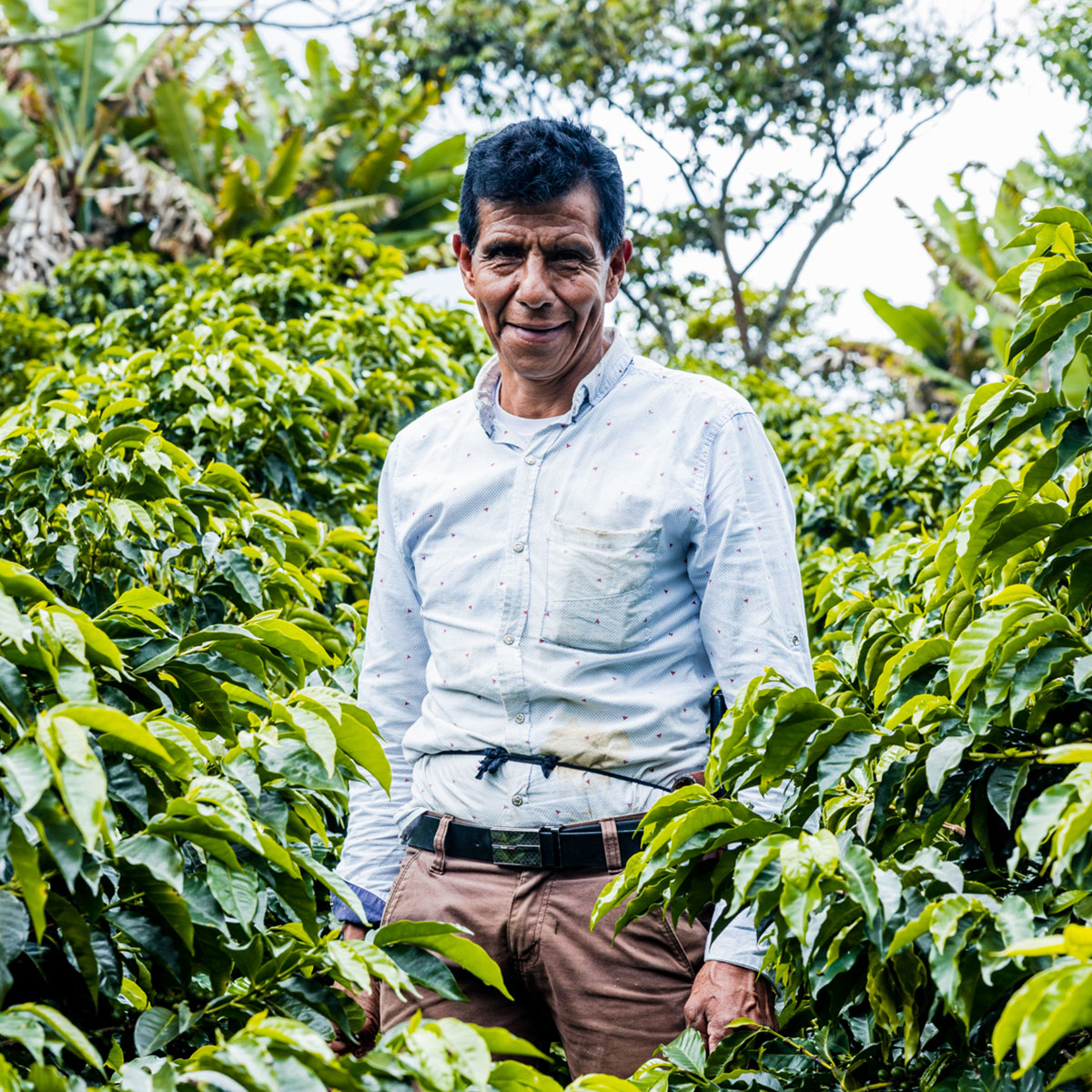 Photo of Imbachi Reserve FARM Finca Buenavista - Imbachi Family