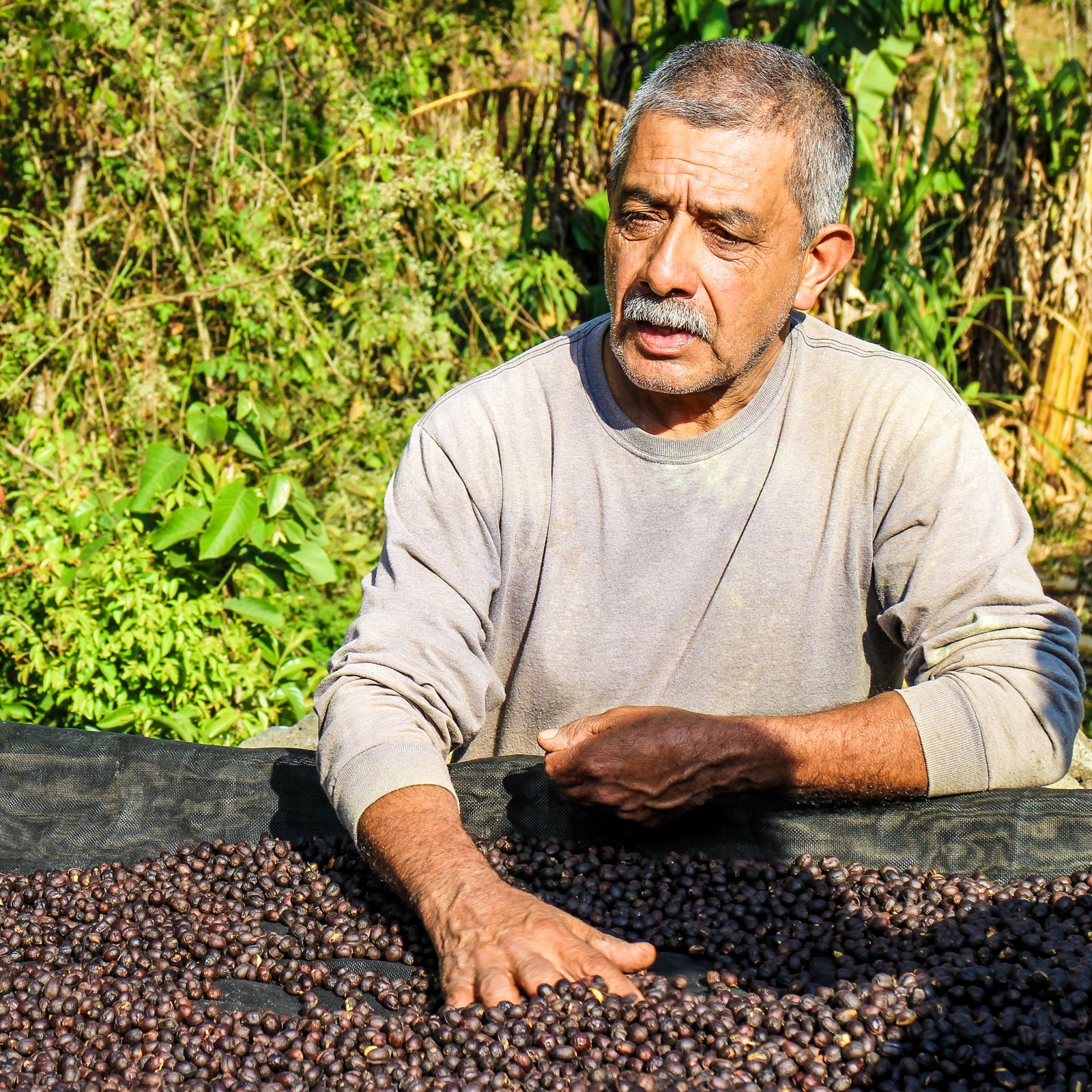 Photo of Ochutnejte FARM • LOS CHELAZOS